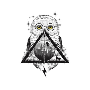 Owls and Wizardry