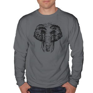 Wild Safari