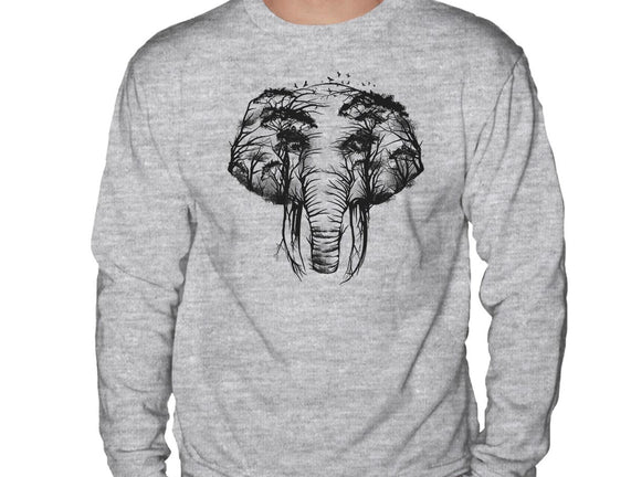 Wild Safari