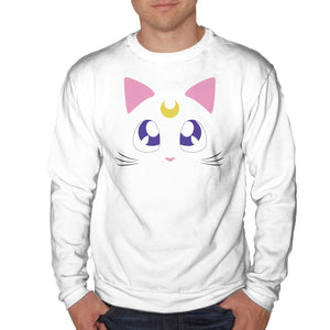 Advisor Cat