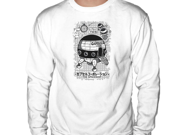Capsule Spaceship