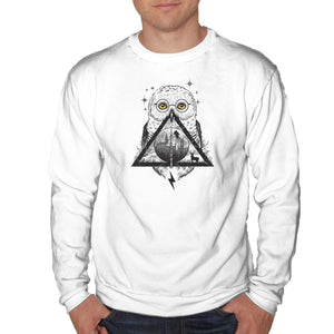 Owls and Wizardry
