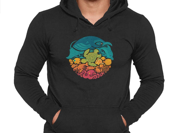 Aquatic Rainbow