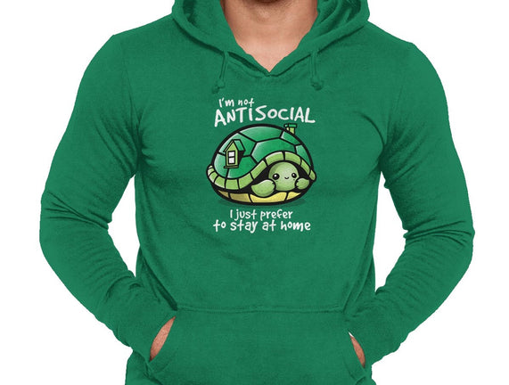 Antisocial Turtle