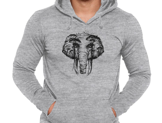 Wild Safari