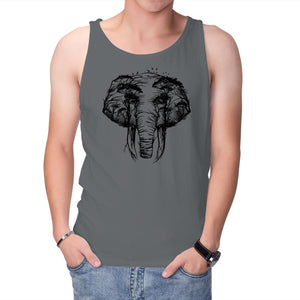 Wild Safari