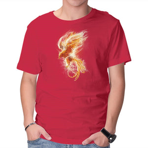 Phoenix Reborn