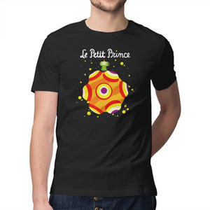 Le Petit Prince Cosmique