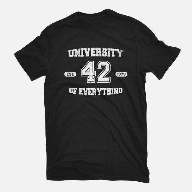 University of Everything-womens fitted tee-SergioDoe