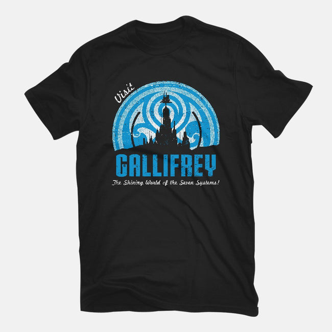 Visit Gallifrey-womens basic tee-alecxpstees