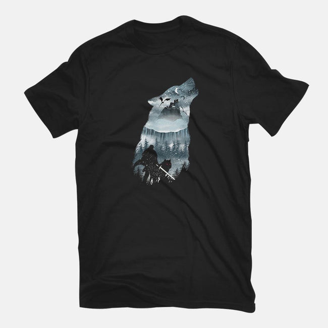 Winter Has Come-womens basic tee-dandingeroz