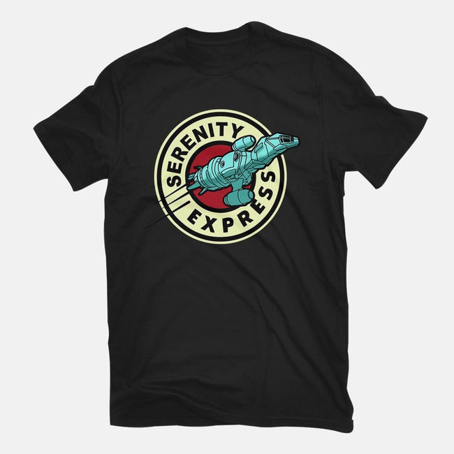 Express Through The Verse-womens fitted tee-athelstan