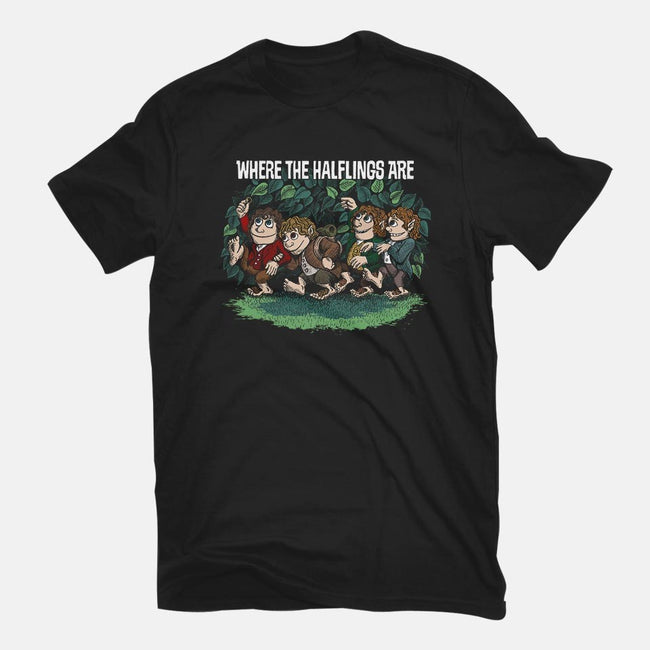 Where the Halflings Are-womens basic tee-DJKopet