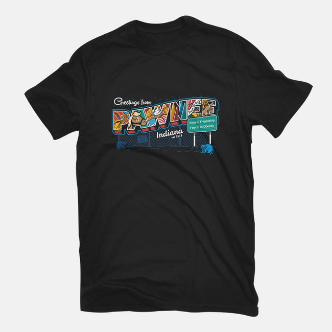 Greetings From Pawnee-womens basic tee-Bamboota