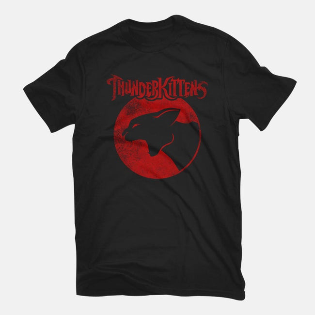 ThunderKittens-womens fitted tee-Robin Hxxd