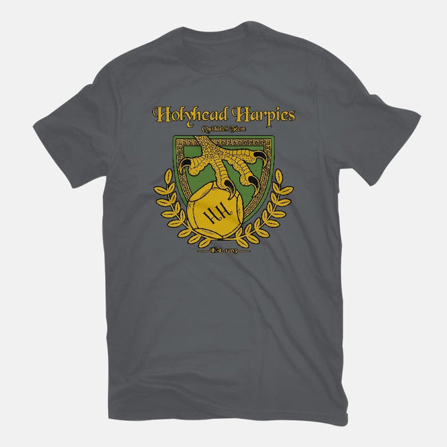 Holyhead Harpies-womens basic tee-IceColdTea