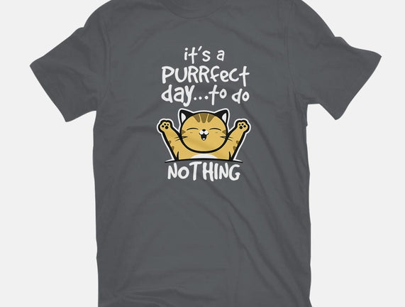 Purrfect Day