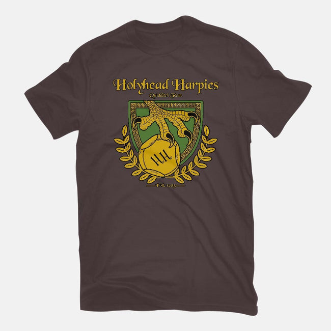 Holyhead Harpies-mens long sleeved tee-IceColdTea
