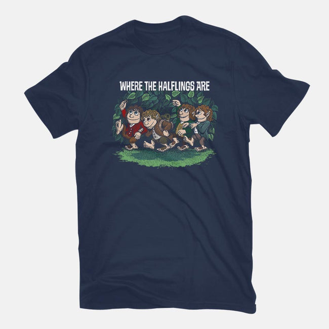 Where the Halflings Are-womens basic tee-DJKopet