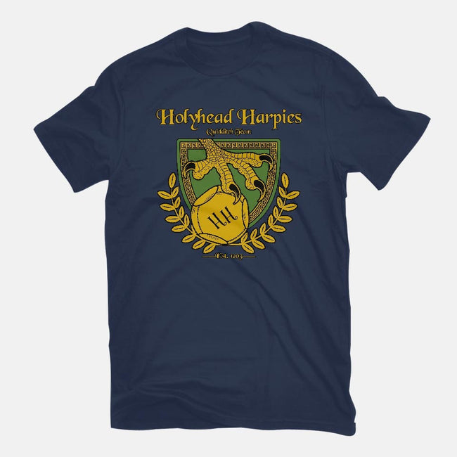 Holyhead Harpies-youth basic tee-IceColdTea