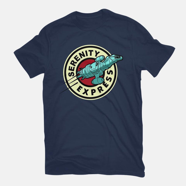 Express Through The Verse-womens fitted tee-athelstan