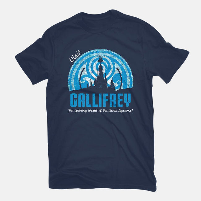 Visit Gallifrey-womens basic tee-alecxpstees