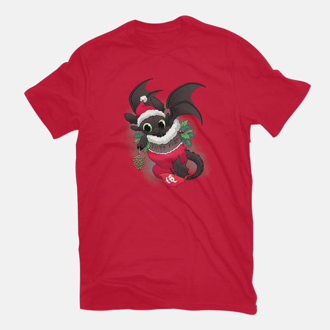 Viking's Stocking Stuffer-womens fitted tee-DoOomcat