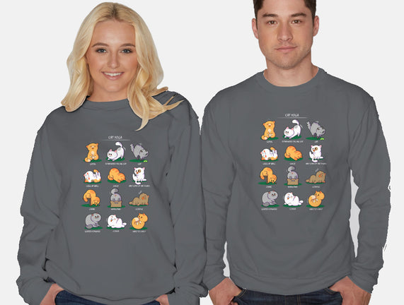 Cat Yoga