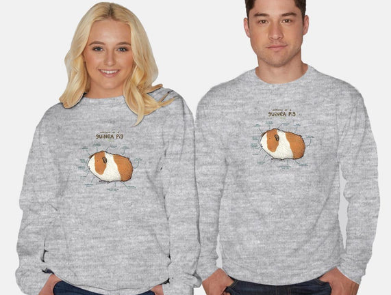Anatomy of a Guinea Pig