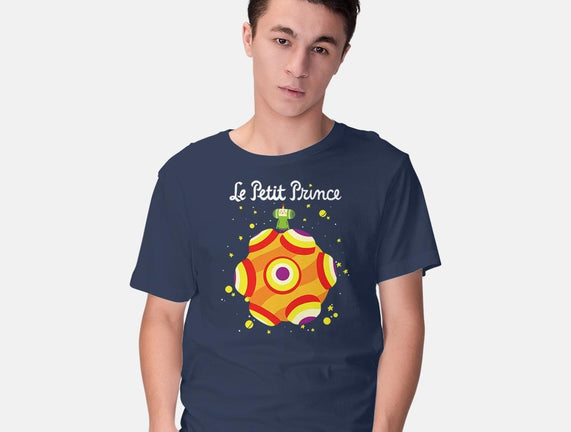 Le Petit Prince Cosmique