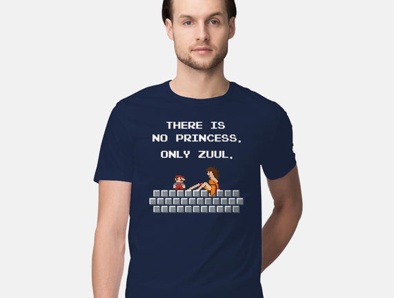 There Is No Princess