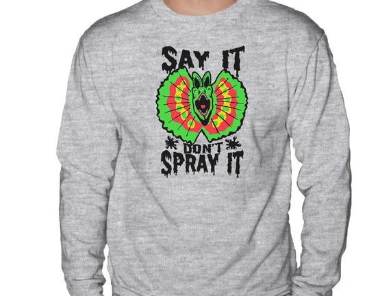 Say It Don't Spray It