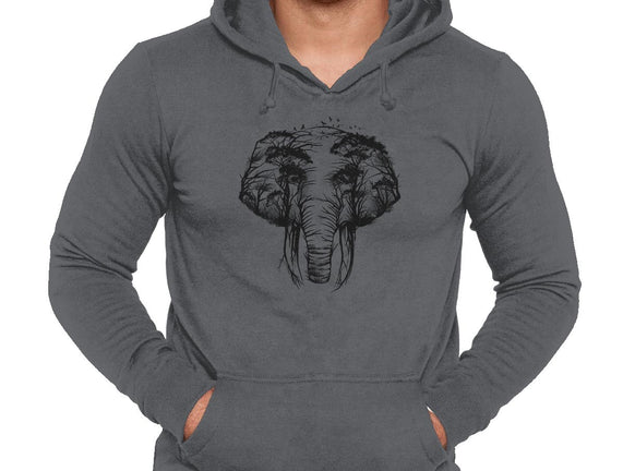 Wild Safari