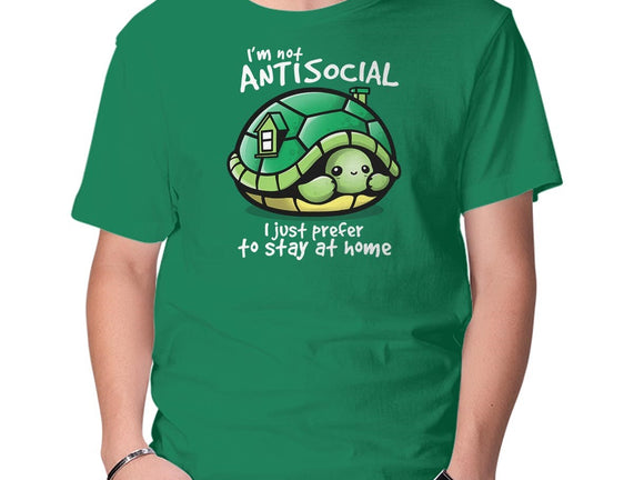 Antisocial Turtle