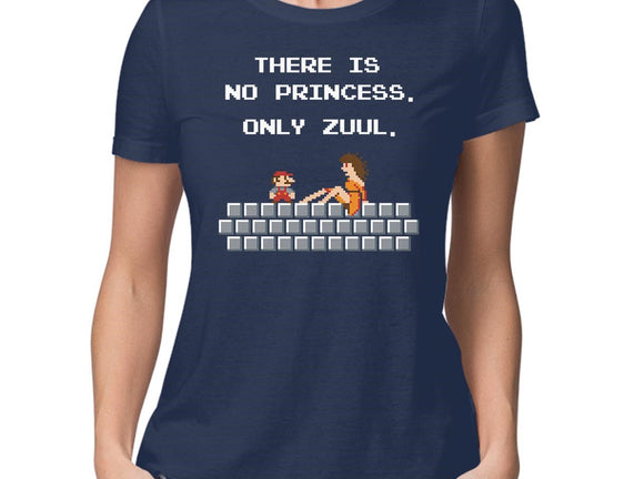 There Is No Princess